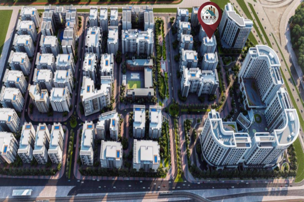 Screenshot 2025-08-09 at 11.05.01 AM